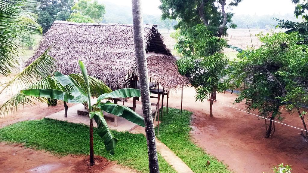 Lakmini Lodge สิกิริยา ภายนอก รูปภาพ
